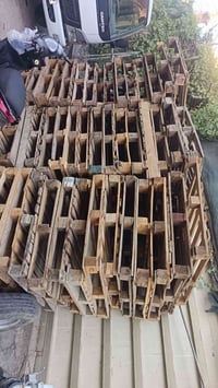 سكيب • عدد ٥٠ • بغداد