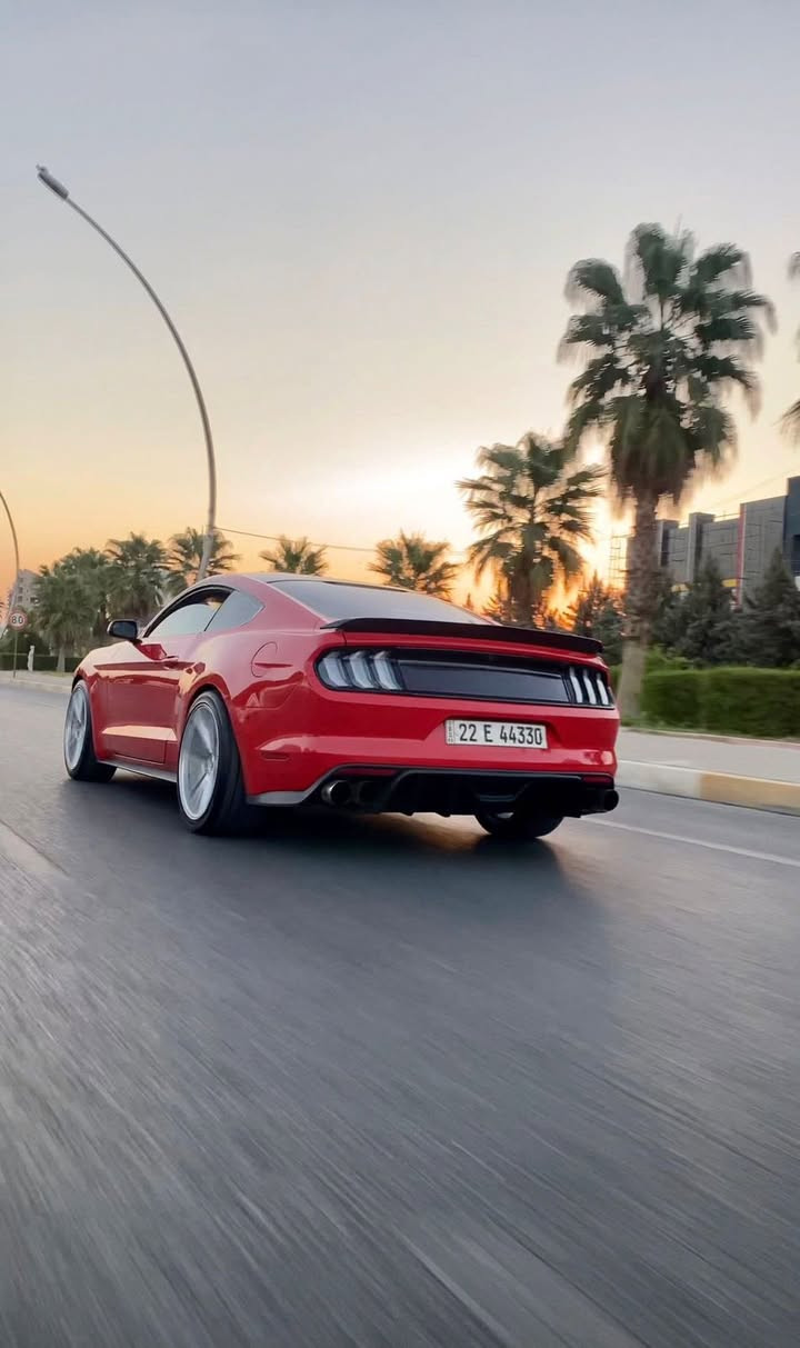 السلام عليكم
فورد موستانك V6 🐎
موديل ٢٠١٦💥
عليها برمجة ستيج ٢🚀
ستيرن RPM✨
دبل كيج🤙🏼
شاشه ٧ الوان🌈
شاشه جبيره🔥
دواخل كيت كامل كاربون فايبر💸
الكشنات الصدر كهربائي⚡️ 
باك لايت سموك💨
هيدرز و دكشن من ماركة BBK⭐️
شوته ٤ اينج من ماركة KN🔥
الوياله من ماركة WILD🐎
سيستم بريك GT🐍
بلنسبه للحادث السياره بيها ٣ اقطاع بدون دواخل و بدون ايرباك 
جاملغ الامامي و باب من جهة السكن و جاملغ خلفي من جهة السايق
السياره ماشيه ٧٧ الف ميل 
هزه جديده و سنويه جديده ثاني يوم تحول 
السياره ماشاءالله عليها جديده بدون اي نواقص و كلشي بشرط المحرك و الكير و الكهربائيات 
سعر $16300 يعني ١٦٣ ورقه و بيها مجال بسيط 
***********
***********
