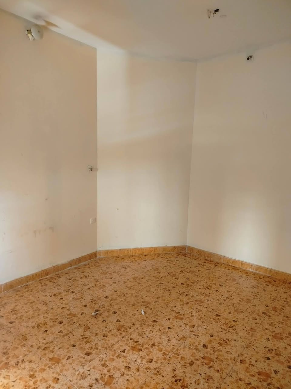 شقه للأيجار في حي الخضراء طابق أول بناء حديث تحتوي على 

2 غرف منام صاله استقبال مطبخ صحيات 

للأستفسار اكثر يرجى الأتصال على الأرقام التاليه 

***********
*********** واتساب 

كما نستقبل جميع طلباتكم وعروضكم التجاريه والعقاريه
