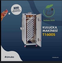 تفقيص بيض • جيموكه التركي • دجيل