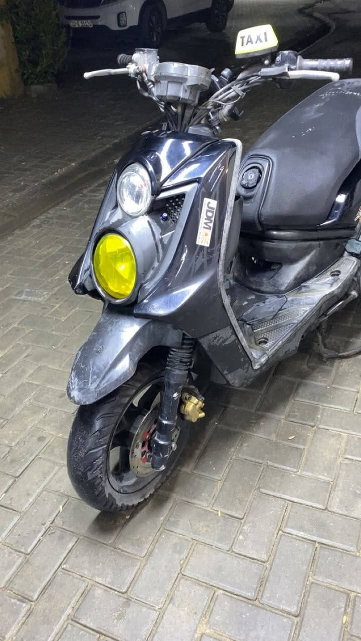 سلام عليكم سكنس جبلي بلاديه للبيع بكاني بغداد قاهره سعر خاص رقمي ***********
