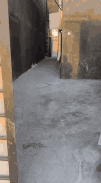 بيت للايجار ابي الخصيب طريق وسطي بناء حديث يحتوي غرفتين وصالة مطبخ وصحيات اجاره 350بي مجال شي قليل للاستفسار ***********
