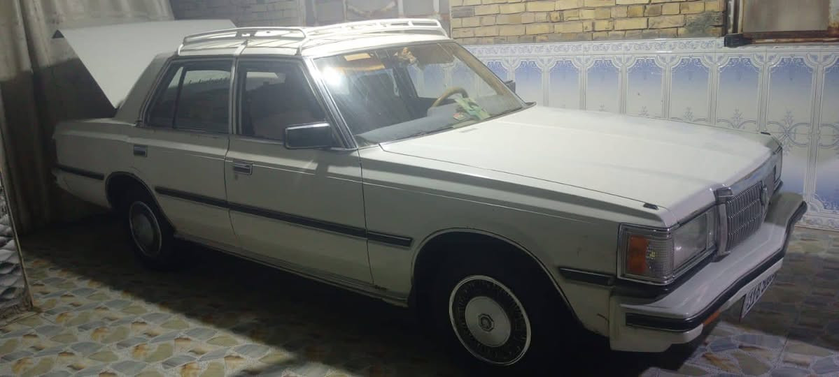 سوبر مديل 82
سياره جاهزه من كلشي 
مكينه ففتي لوك المكينه 
كير كذالك كارتون 
ماتخسر برغي عليه جاهزه من كلشي 
ترايك وين ماتريد
مكان السياره ناصريه سوق الشيوخ كرمه بني سعيد 
سعر 50///‏‪***********‬‏
مكلف بالنشر رقم صاحب السياره كدامك
مداور مباشر
