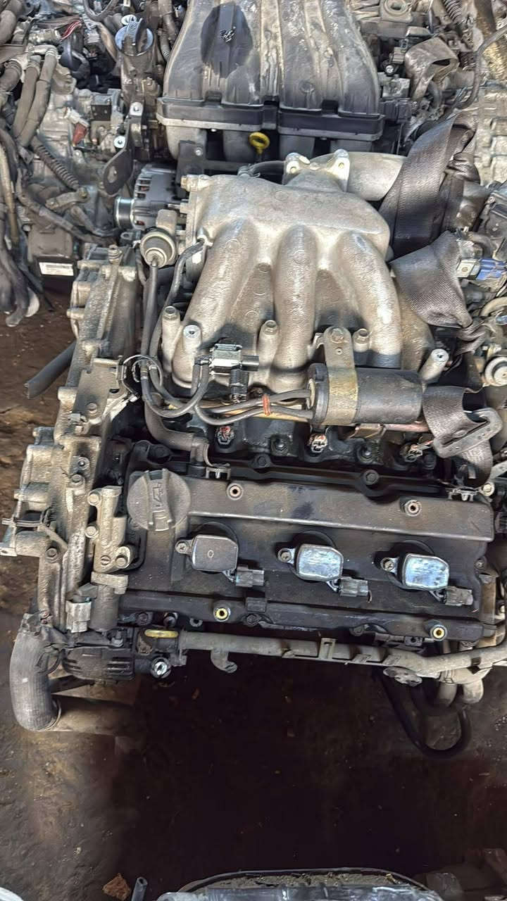 مكاين سافران حاويه اصلي 4 سلندر 6 سلندر سعر المكينه كامله مكينه كير تفرعات مقفله مليون
ديوانيه حي الصناعي 
 مجمع سجاد الكوري 
*********** واتساب
*********** واتساب
