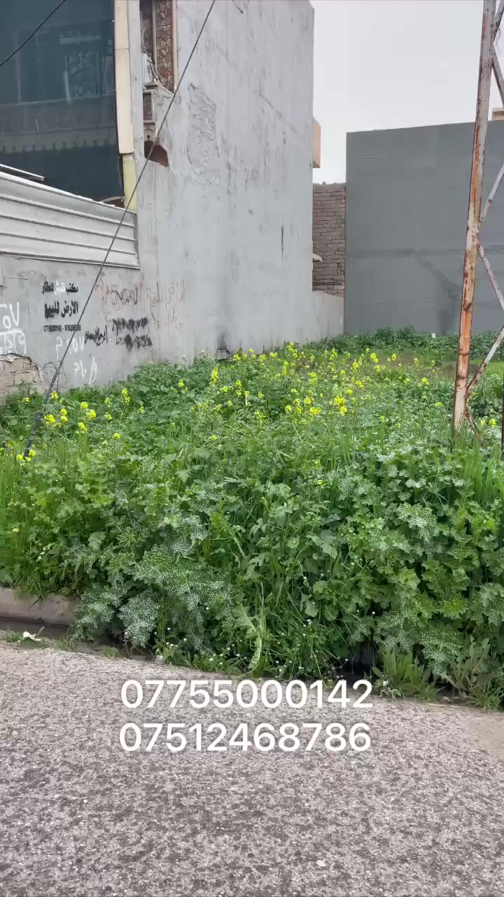 بيع مستعجل سعر مناسب
سعر المتر مليون قفل   

🛑🛑بسعر مناسب🛑🛑

السلام عليكم

📍 أرض للبيع
الموقع: حي الصديق الثانية – قرب شارع البان شلاوي

▫️ المساحة: 257 متر
▫️ الواجهة: 10 متر
▫️ الاتجاه: شروق تام

📞 للاستفسار:
***********
***********

📌 مكتب نقوش للاستثمار العقاري
نستقبل عروضاتكم في أغلب مناطق الجانب الأيسر

🔗 لمعرفة الأسعار انضموا لقناتنا على التلكرام:
https://t.me/nukosh97
