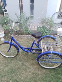 شهربان ديالى • باسكل • حجم 24