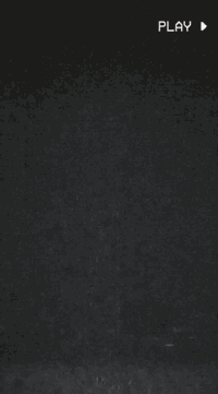 سلام عليكم شباب ستوته للبيع دايون مديل 15 تعميرعه جديده المحرك كسر باكبت الكسن كبس الكهربايات شقالات كلشي بيه جديد والوياله والتواير جدد السدر شقال اوراق اوصوليه السعر 1550قفل***********بي واتساب
