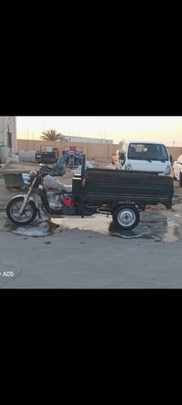 ستوته • فحل • اوراق اصولي