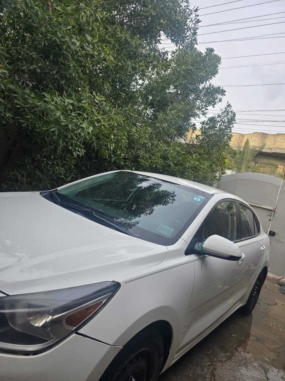 السلام عليكم كيه ريو مديل 2020
مكاني بغداد ***********
