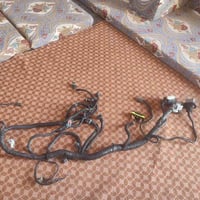 الناصرية • ظفيرة أفيو • كوري أصلي