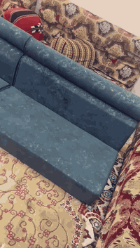 جلسه عربيه • استخدام نضيف • بيها مجال