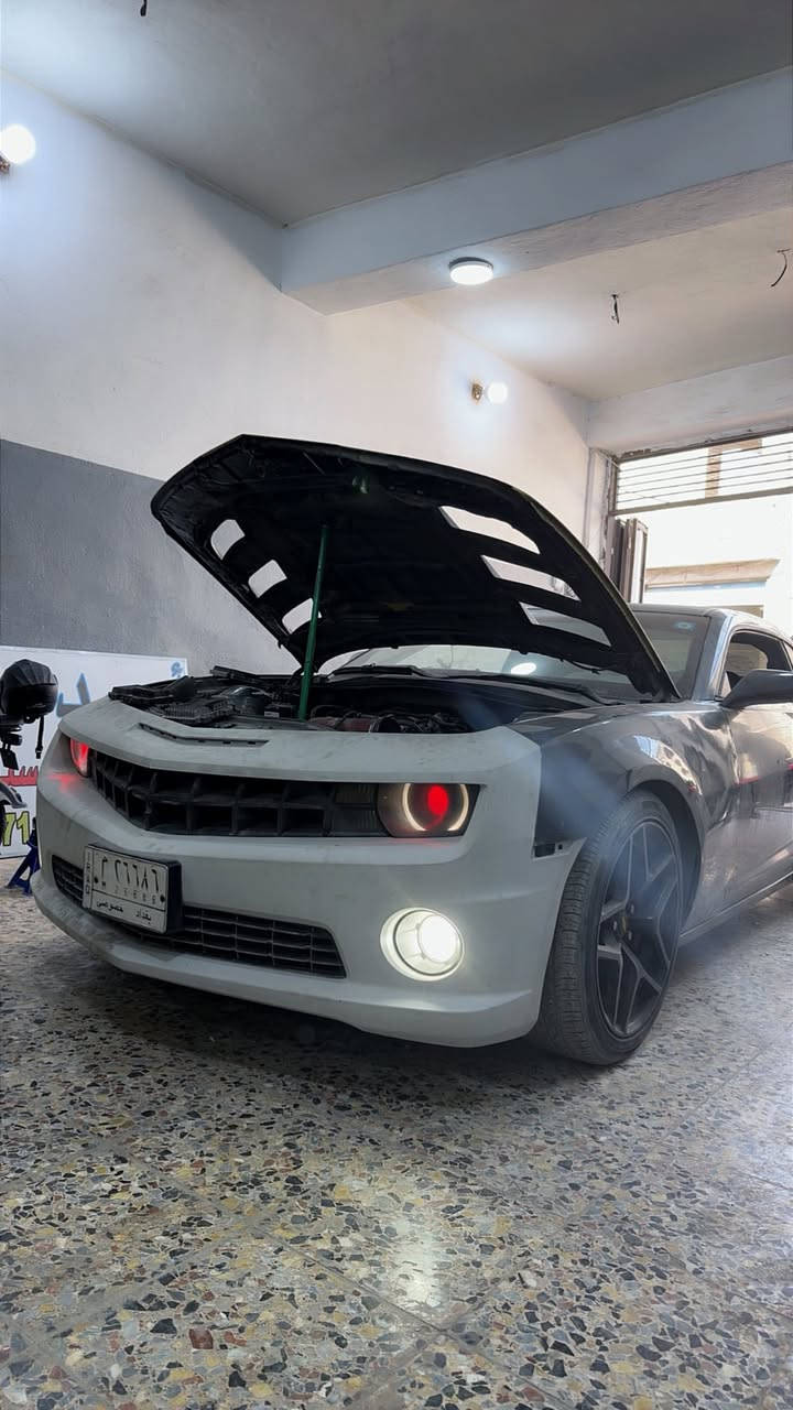 سلام عليكم اخوان للبيع كمارو 2ss مزوده سياره صرفت عليهه كلش هوايه بس توازيت عله ضرف واريد ابيع
 سياره 2012  
مكينه جديده توهه مشدوده كام شوته هدرز اكس بايب كزوز كامل اكتف اويل بم ميلنك ادبتر ثروتل وعليهه بعد هوايه غراض 
مواصفات فتحه جلد تحكمات كامره بلاديه حساسات وباقي المواصفات المعروفه 
السياره بيهه كم نقص بسيط يعني ترتيبات فقط 
بنيد ZL1 ودعاميه جديده توني شادهن بس ينصبغن 
رقم بغداد مشروع وطني 
والسعر كلش مناسب مستعجل عالبيع 
مكاني بغداد حي الجامعه ***********
اخوان بس الشراي يتصل   
نزلت صورهه قبل وهسه السياره بيهه كم نقص ارجع واكول 
بس الشراي واليعرفلهن يخابرني اخوان واسف عالاطاله
