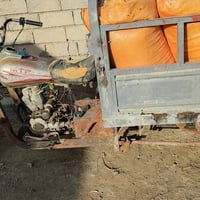 ستوته • شغاله • اعيد النشر