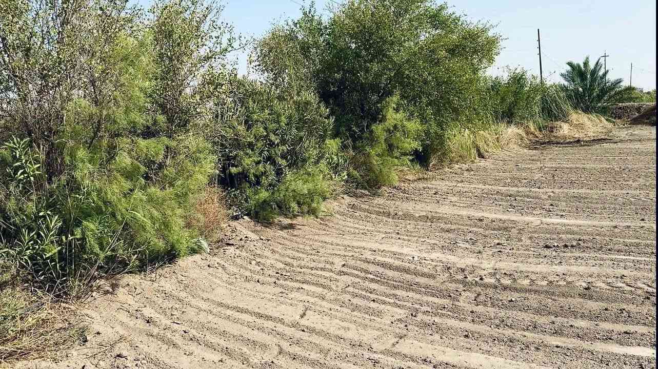 بستان لبيع ٤دوانم وبيت حديث مساحه ٣٠٠ متر استقبال 14طول العرض ٤ونص
صالتين صغيره وكبيره غرفتين مطبخ حار وبارد ومخزن داخلي وحمامات داخليه وخارجيه وسياج طول ٥٠ والعرض ٥٠ خدمات كامله ماء حلو تبليط كهرباء
العنوان فضليه صوب السياحي قرب مدرسه مواهب الرحمان السعر خاض الاستفسار لاتصال ***********

