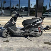 ثعلب • نكرة • تحتاج تجفيت