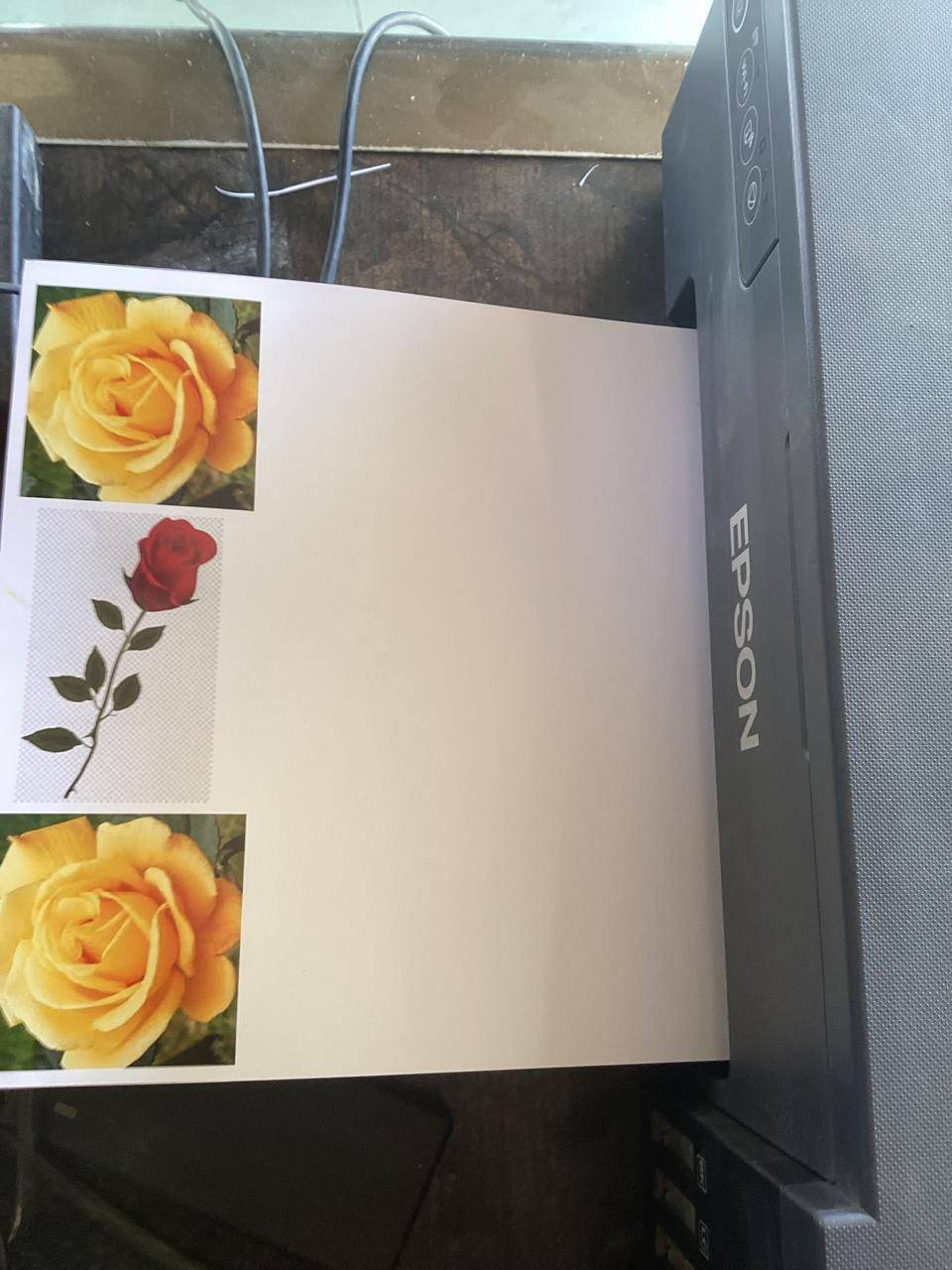 ابسون  L8050 الغنيه عن التعريف عداد ٢٩٩ فقط السعر ٣٠٠


**إذا كنت صاحب هذا الإعلان وتريد حذفه لأي سبب، رجاءا أرسل رسالة إلى الدعم الفني**