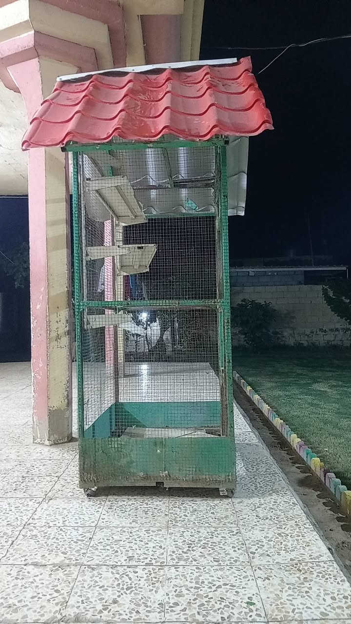 للبيع قفص حديد ادفع سعر واذا عجبني ابيع


**إذا كنت صاحب هذا الإعلان وتريد حذفه لأي سبب، رجاءا أرسل رسالة إلى الدعم الفني**