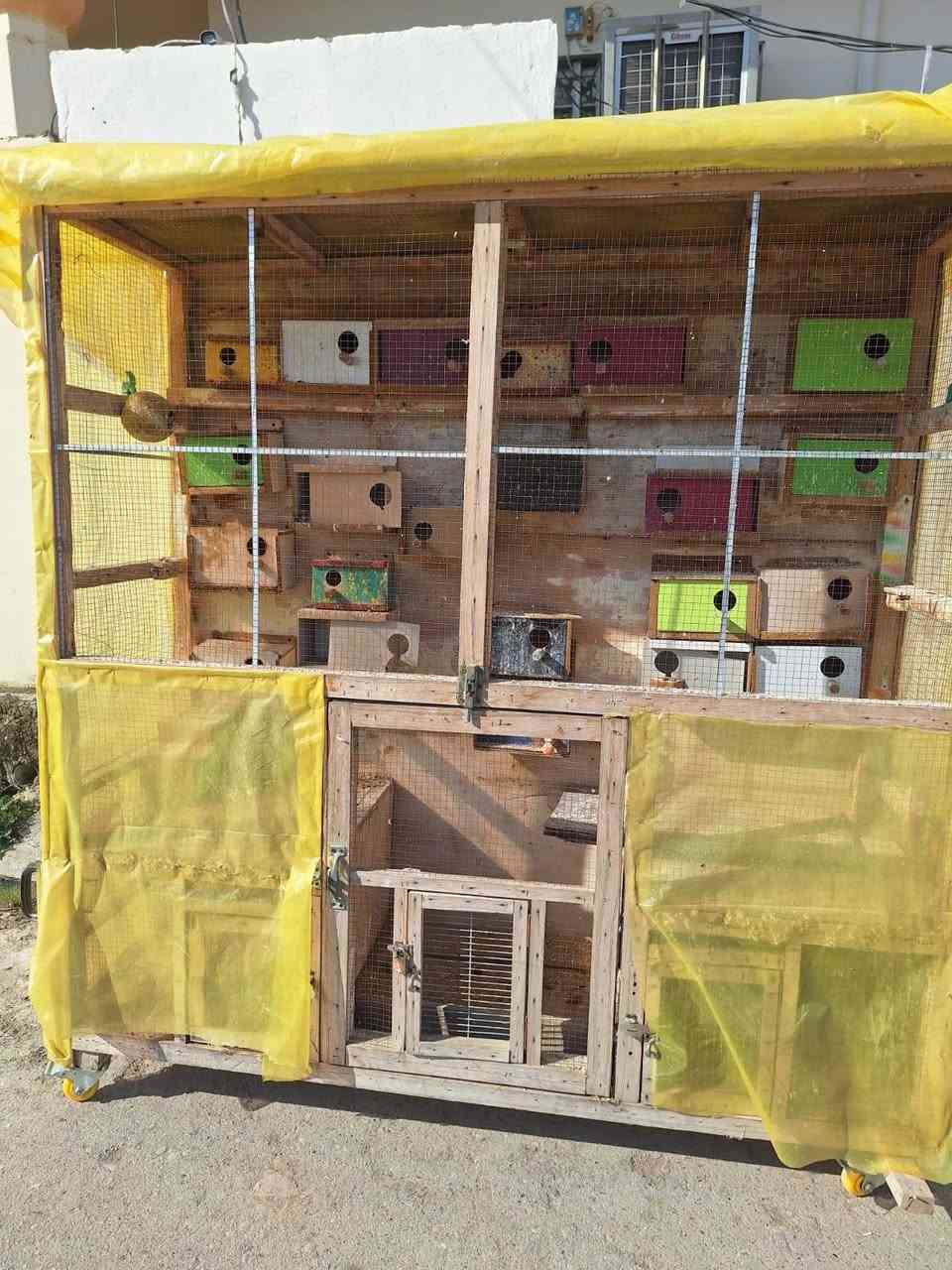 متاح
السلام عليكم يوجد للبيع قفصين واحد مال بلال والثاني 
يرهم للدجاج ويرهم للطيور  
العنوان هبهب  حي العسكري 
*********** /    /***********
