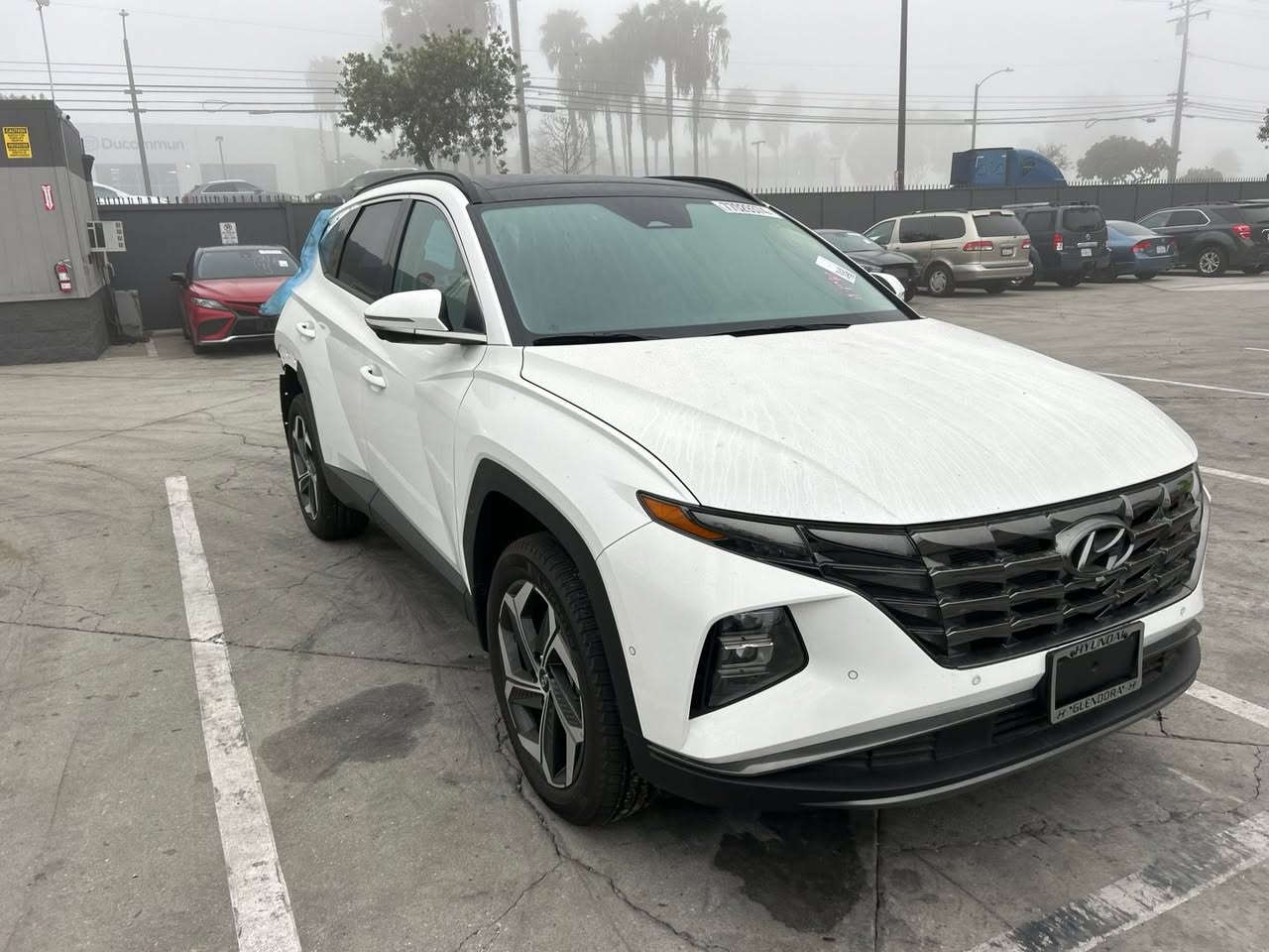 السلام عليكم توكسان حادث موضح بلصور جنطه بارد بلجاملق الخلفي والصندوق نفسيته مرجعينه
2023 لمتد vip فول الفول امريكي
لون السياره ابيض
المواصفات LIMITED VIP
1- بصمة تشغيل 
2- بصمة ابواب لمس دخول ذكي 
3- بنوراما على طول السيارة 
4- صندوق كهرباء شفط 
5- كامرات 360 درجة ( جانبية - امامية - خلفية ) 
6- كامرات مع الاشارة 
7- السيارة تتقدم وترجع ب البصمة 
8- تبريد تدفئة كشنات 
9- كشنات جلد كريمي 
10- كشنات كهرباء 
11- اضواء محيطية 67 لون اختياري 
12- كشنات خلفية هيتر 
13- مرايات تعتيم ذاتي 
14- ابل كار بلي 
15- اندرويد اوتو 
16- شاشة دجيتل 3 اشكال للقيادة 
17- اشاير ترحيب 
18- اضواء امامية LED زنون 
19- اضواء خلفية LED
20- هوك خلفي 
21- فول اوامر صوتية 
22- جامات اوتو 
23- قطعتين تبريد 
24- اشارات ب المري
25- كير دكم 
26- شفتات ستيرن 
27- تحكمات ستيرن 
28- السيارة فور ويل 
29- محرك 2500 المرغوب 
30- هاند بريك بصمة 
31- شحن واير ليس 
32- منافذ شحن 
33- اوتو هولد 
34- تشغيل عن بعد 
35- السيارة اوتو بارك 
36- حساسات امامية 
37- حساسات خلفية 
38- كير AT المرغوب 
39- رادار امامي رادار خلفي رادار جانبي 
40- نقطة عمياء 
وبعد بيها هواي مواصفات 
ممشى السيارة (14 الف فقط ) 

السيارة مكفولة من التبديل 
بدون ايرباك
رقم بغداد باسمي

مكان السيارة ميسان العمارة

السعر ٢٢٦ وبيها مجال 

رقم الهاتف ***********
