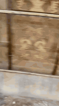 السلام عليكم دار للبيع مساحه 370 
240 دار مستقل استقبال ومجمعات صحيه ومطبخ وصاله وغرفتين
و150 دار مستقل هيكل محتاج تشطيب ايضا مجمعات صحيه واستقبال ومطبخ وغرفتين
 للاستفسار الاتصال *********** 
مكان الدار الصوب الكبير حي الشرطه الشارع المقابل مدرسة المصابيح علما البناء عكاده ويصلح مراوس بالجوادين او الرياض
