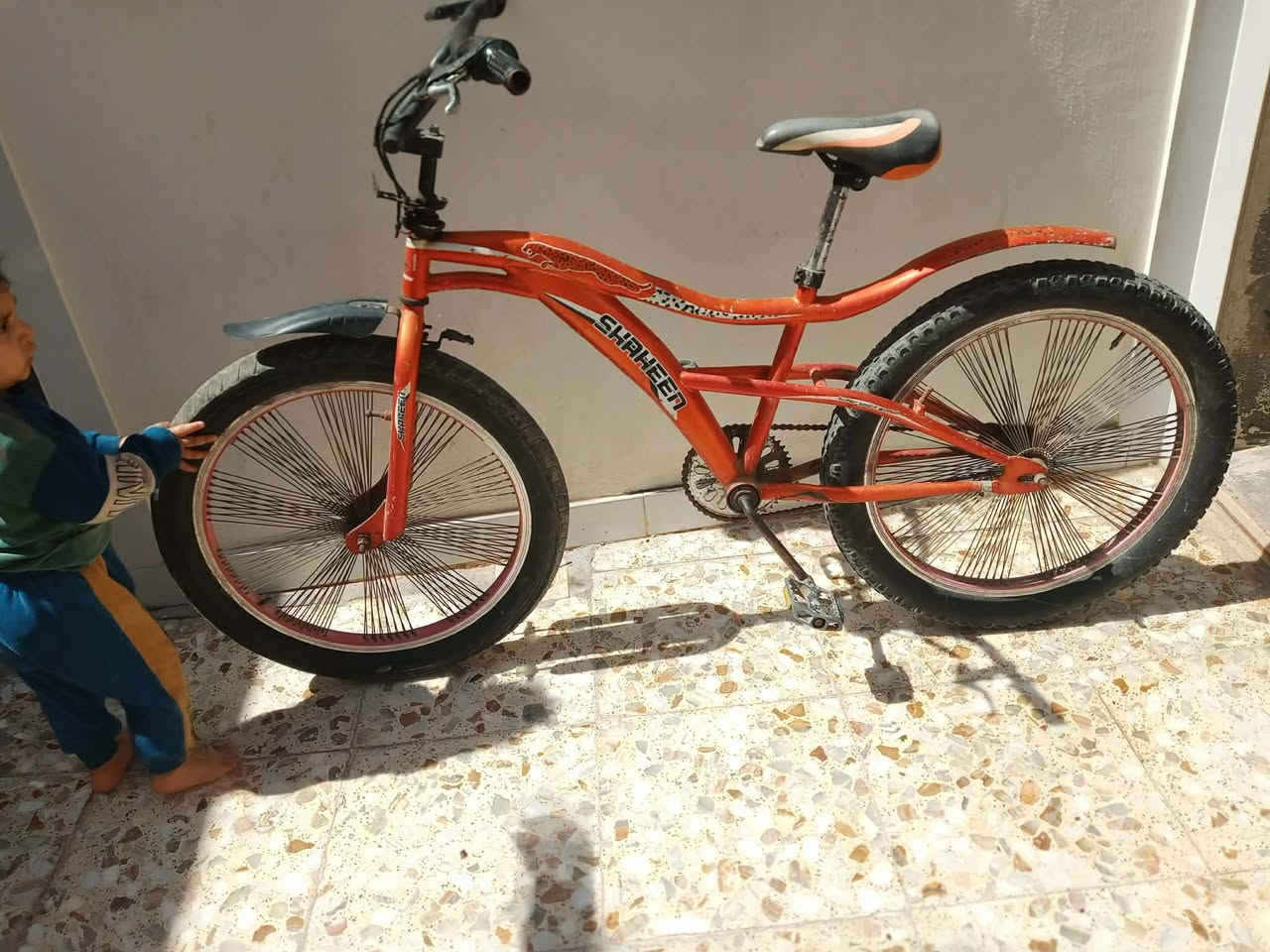 بنسكل كوبره جاهزه لبيع السعر ٥٥بيه مجال لشراي 
لحد يطي سعر من لمه شراي تعال خاص 
***********
