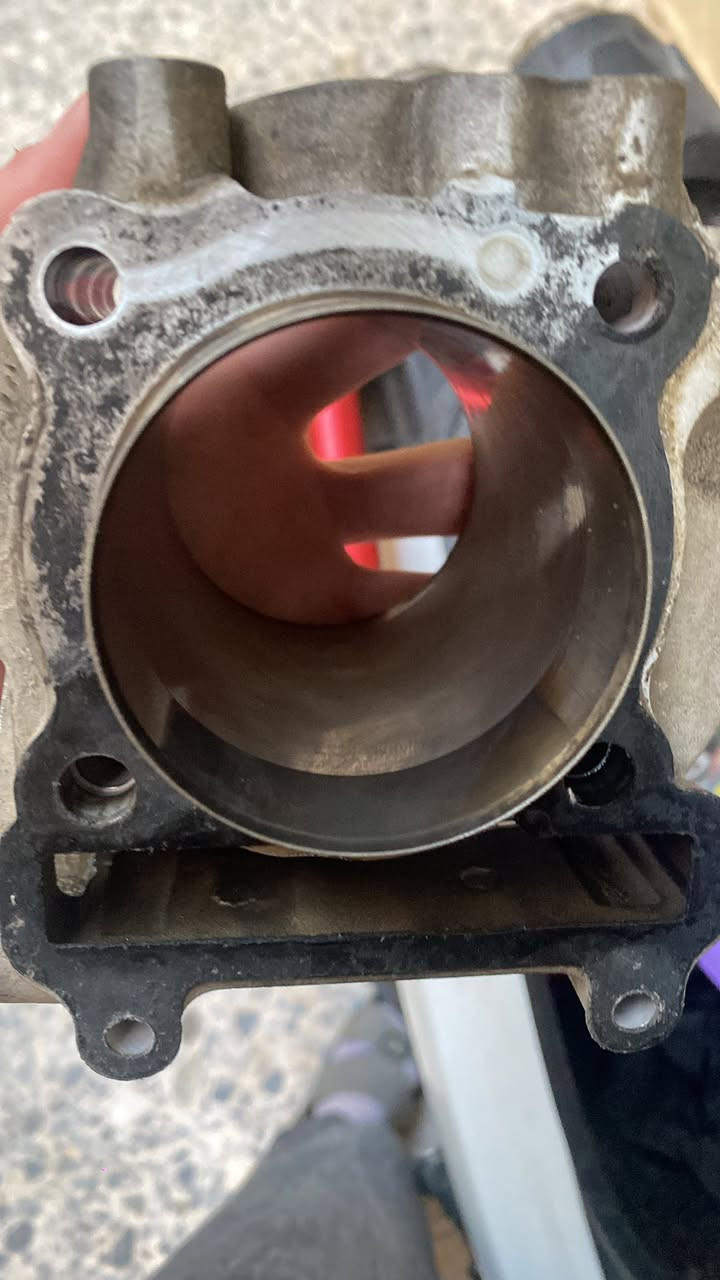 بوشه سكنس جيسو مكفوله 59 عوزها بس بستم سعرها 75 وبيها مجال


**إذا كنت صاحب هذا الإعلان وتريد حذفه لأي سبب، رجاءا أرسل رسالة إلى الدعم الفني**