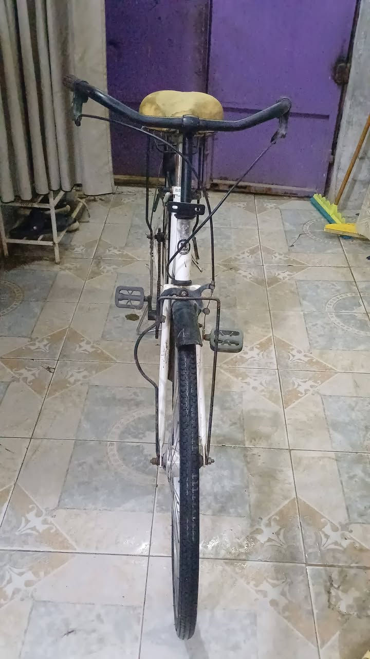 السلام عليكم باسكل بناتي حلو ونضيف حجم 27 سعر خاص


**إذا كنت صاحب هذا الإعلان وتريد حذفه لأي سبب، رجاءا أرسل رسالة إلى الدعم الفني**