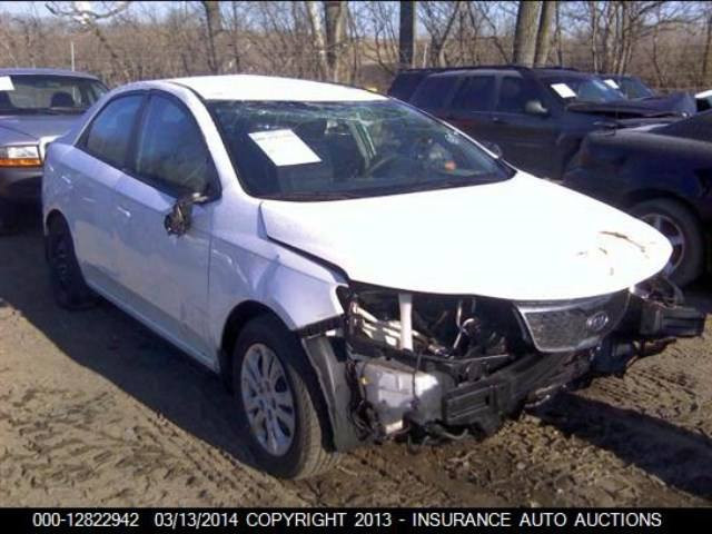 السلام عليكم
الاخوه الي رادو صور الحادث سحبتهن وعدت النشر موجودات بلمنشور 

كيا فورتي 2013
موصفات معروفه  
محرك 2000 دوش مكفول  لاتنقيص ولا تبخير 
كير خير من الله  مكفول 
سياره جاهزه من كل النواحي حداديه جديده قبل شهر مبدله كامله حته الدبلات امامي خلفي 
تبريد شغال تدفئه شغلله 
مانقصه ولا برغي 
كشنات كاعيه جنطه مدوشمه كله شاشه كامره 
بلكات مجاول كله جديد 
مي زيتي للراديتر ودبه  
ولف حماوه جديد  
سياره تاخذه مذب عليه ولا ربع كبل تطلع تشتغل ع باب الله 

سياره حادثه بنيد  مضروب وطاير ضارب تكمات الجامه الاماميه  وبدايه القماره 
لغود شواصي مكفولات 
رقم بغداد دولي 
هيئه مصفره وغرامات 
سنويه جديده لل 2030
مكاني بغداد الكاظميه چكوك 
السعر 85 
وبيه مجال بسيط حك المعاينه فقط
اخوان لاتراسني لو تخابرني شكد قفله تعال كلب وبيه مجال بسيط ترا واضحه رجاء اخوي  
***********
