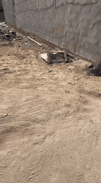 السلام عليكم ورحمة الله وبركاته 

عرض مناسب جدا جدا بسعر مناسب

يعلن العبيدي للاستثمار والتطوير العقاري عن توفر قطعة ارض زراعي سند (25) للبيع في الدورة البعيثة مجمع السلطان الرابع  خلف المدارس مباشرة مساحة الارض (100) متر الواجهه  (6.25) والنزال (16) للبيع بسعر جدا مناسب للاستفسار الاتصال *********** يتوفر واتساب
