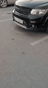 عندي دوج جورني 2012 لون اسود للبيع السياره sxt بيه صبغ مكانات فقط رش مال جراد قماره و بنيد و بنيد رقم بغداد الجديد باسمي بيع او مراوس حسب القناعه سبعه راكب سعر 120 مكاني بغداد
***********
 ***********
