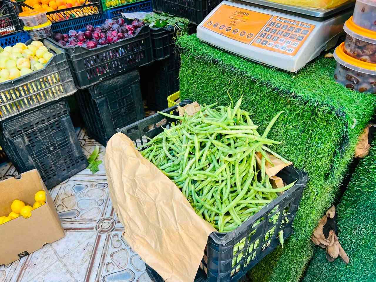 فاصوليا خضراء 
قاسم للفواكه والخطروات


**إذا كنت صاحب هذا الإعلان وتريد حذفه لأي سبب، رجاءا أرسل رسالة إلى الدعم الفني**