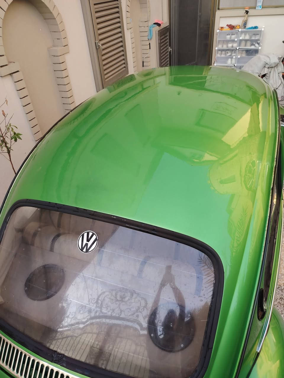 من رخصة مدير الكروب المحترم..
بالبصرة.. بالبصرة.. 
فولكس بيتل ( رگة) موديل 1976 مكينة 1600
السيارة جاهزة كهربائيات وحدادة وادامة كاملة للبريك...
السيارة بأسمي ورقم بغداد دولي وسنوية لل29 طخم تاير وعليها إدامة للمحرك لاتنقيص ولا تبخير..
السعر المطلوب ٧٥ ورقة ومجال بسيط 
(السيارة موجودة بالبصرة)...***********
تحياتي للجميع
