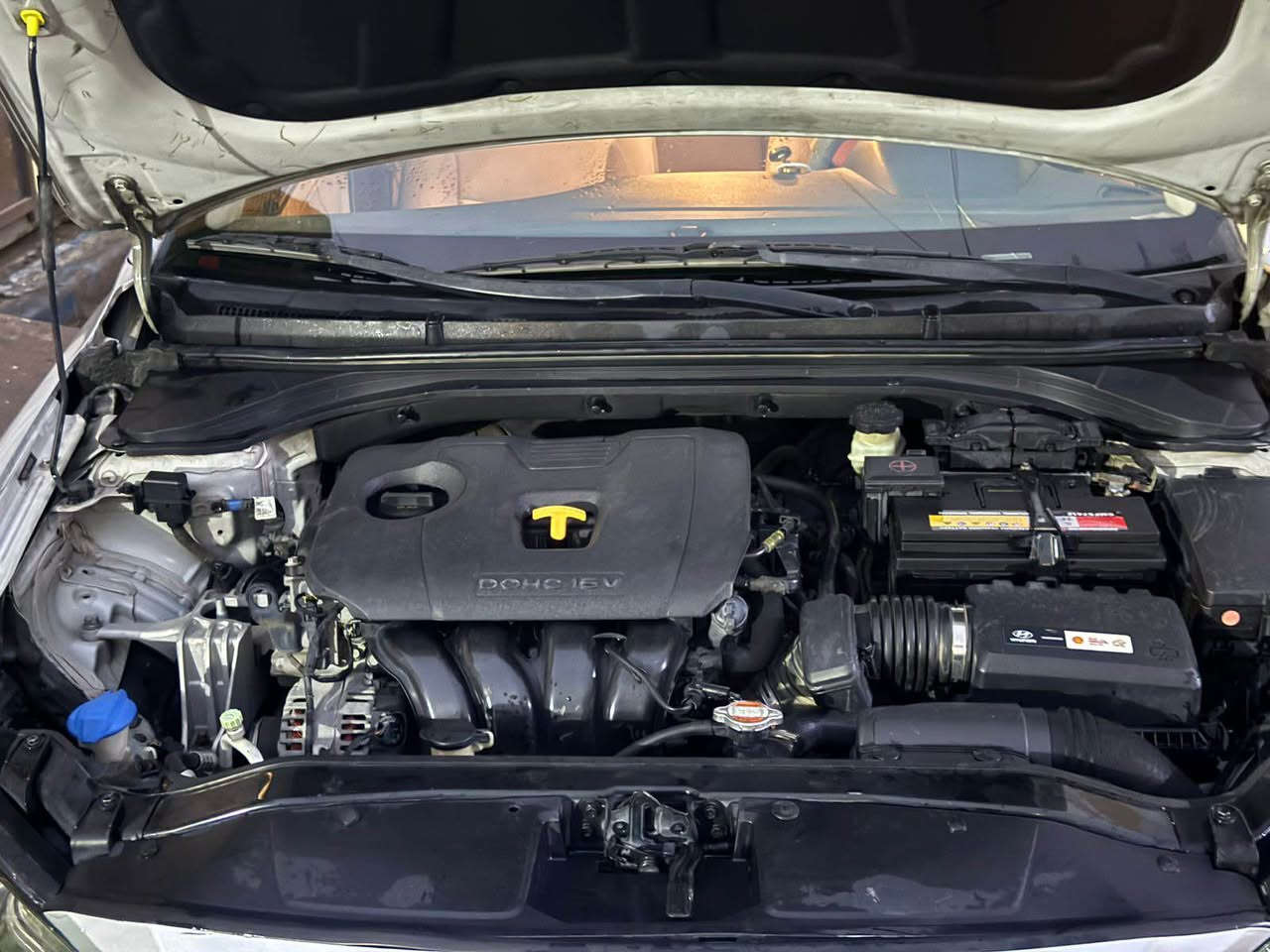 ألنترا بغداد موديل 2017 أمريكي
بصمة تشغل وابواب
منظومة زنون (عدسه زرع)
تدفئه كشنات
تحكم استيرن
رادار جانبي
شاشه
حساسات
(فول عدا الفتحه)
سنويه لل 2028
السعر 120$
المكان بغداد
*********** بغداد, العراق
