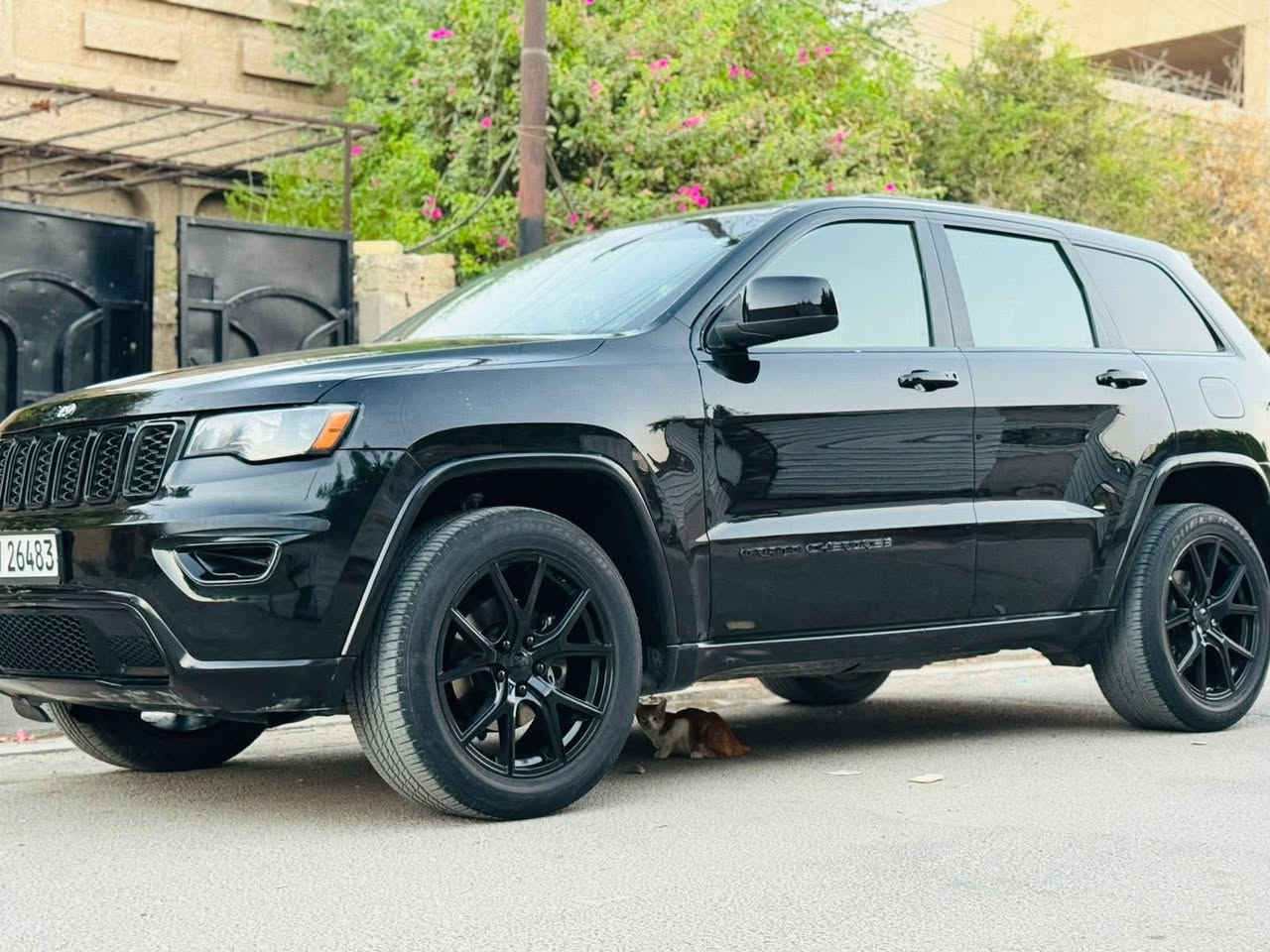 السلام وعليكم 🌹

تتوفر سيارات بلقسط المريح وبدون كفيل
حصراً لأهالي بغداد ✔️

🚘 السيارات المتوفرة:
• فورتي 2016
• ماليبو 2021
• سنتاڤيه 2017
• فورد 2020
.اوبامه 2022
جيب 2021

📌 أقساط ومدد مناسبة
📍العنوان: بغداد
📞 0773913660


**إذا كنت صاحب هذا الإعلان وتريد حذفه لأي سبب، رجاءا أرسل رسالة إلى الدعم الفني**