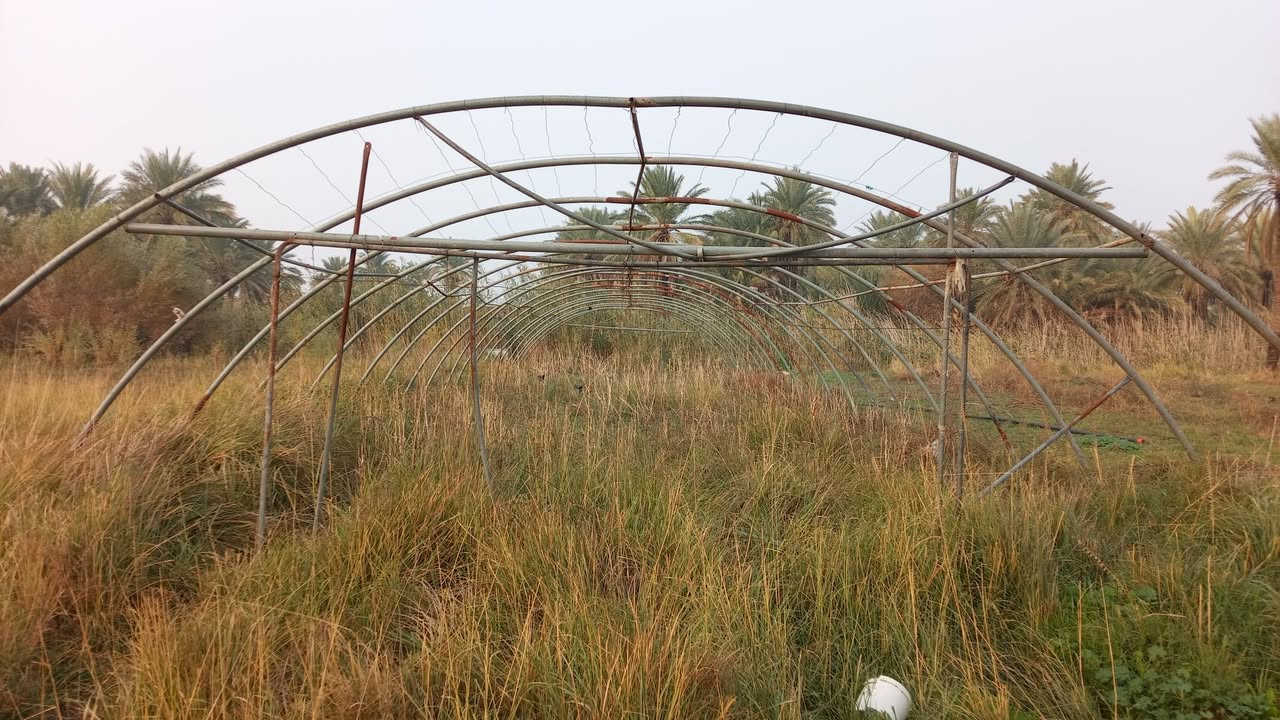 السلام عليكم ورحمه الله وبركاته
بيت بلاستيكي للبيع كامل مع ملحقاته /ماطور+خزان ماء سيمه جديد 
الأتصال ***********
