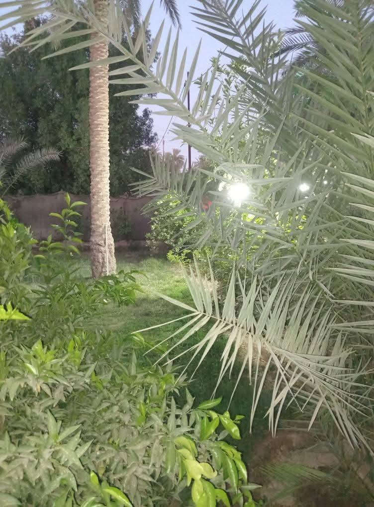 آلُـۜسـۨۚ(✋)ــِۖلُأمٌ ؏ـليۜـ(💜)ـكـۜم وݛحـٍّْـٍّْ⁽😘₎ـٍّْمهہ الًـًٍۖـٍـٍۖ(☝)ٍۖـًٍٍٍّـًٍلۖهًٍۖۂ وبـۗـۗـۗـۗـۗـۗركۧۧــۧۧۧۧۧـۗـۗ(ۗ😇)ـۗـۗاتهۂ.... الى عشاااق المساحات الكبيرة عرض خاص عـــــــقـــــــاررررر للبيــــــع طابووووو زراعي على طريق قرية ابو عصافير اول شارع عاى النهر. مساحه العقار الكلية.... 1800متر مشيد عليها دار كلش حلو ومرتب كلش متكون من غرفتين وصالة كبيرة كما موضح بلصور وكذلك مطبخ. واستقبال . للتوضيح توجد من ضمن المساحه حديقتين. امامية وخليفة.. ويوجد فيها كافة الفواكه والنعب. والورد وتجي وشوف بنفسك افضل..... السعر 185مليون وقابل للتفاوض ... . اي استفسار اتصل ***********
***********
