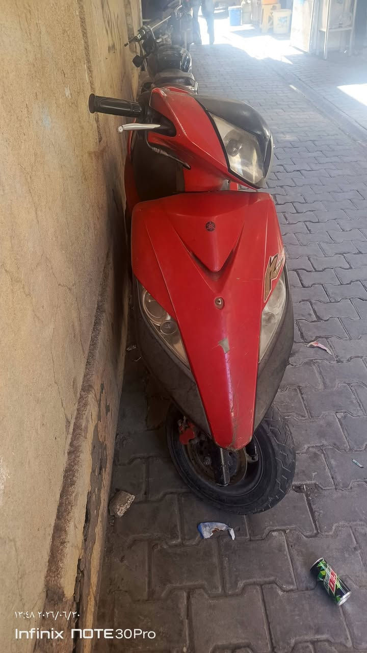 ثعلب نوزل مرقم بغداد للبيع 
‏‪***********‬‏ بغداد
