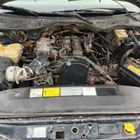 اوبل بزون • ١٩٩٤ • اربيل الدولي