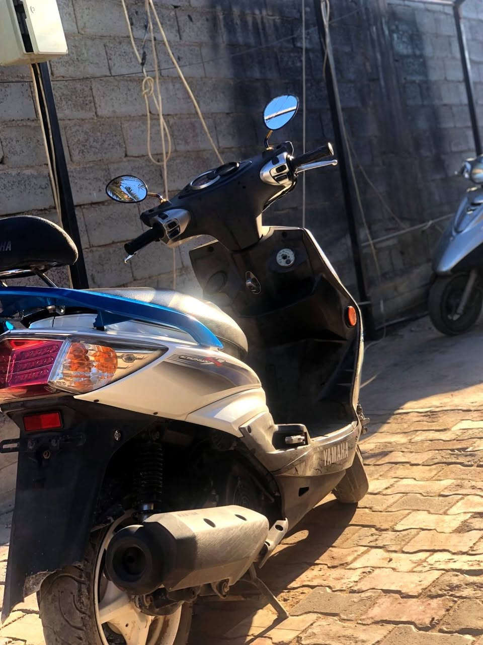 سكنس فحل خمسينه كفاله عامه تفاصيل خاص رقمي *********** سعر خاص متواجد
