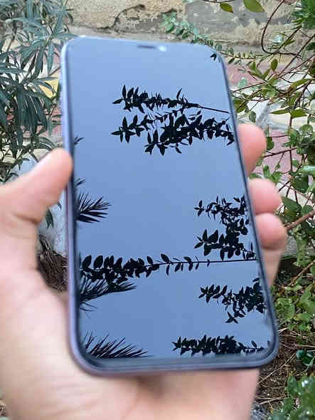 سلام عليكم للبيع ايفون 11 عادي ذاكره 128 بطارية 90 
مبدل شاشة فقط اصليه شركه فيس ايدي شغال الجهاز مال بيت نضيف كلش والكسر الي بالتصوير هاذ لزكه حمايه تجي وتشلع الزكه بيدك وتشوف الشاشة الجهاز نضيف بشكل 
السعر 300 الف
 الاتصال *********** العنوان بغداد البلديات
