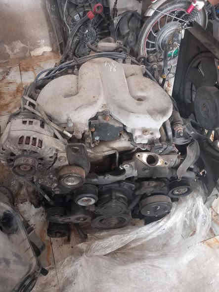 ***********
***********
العنوان الدجيل
