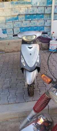كتمل • بيش • للبيع