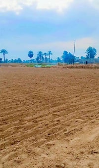 بسم الله الرحمن الرحيم #نصف #دونم👉🌹 #طابو25 #اقرار #محكمه  مسافه عن ال...