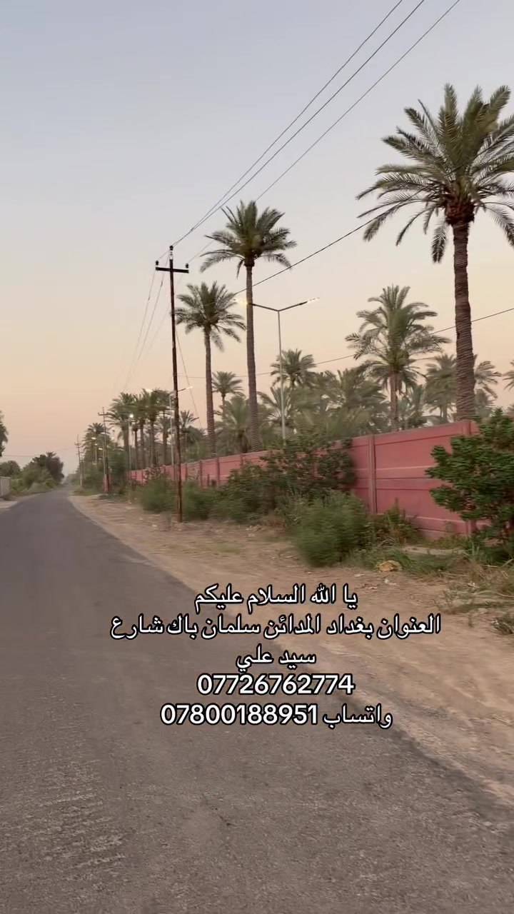 يا الله السلام عليكم ( اعلان رقم 66 )
العنوان بغداد المدائن سلمان باك شارع سيد علي 
***********
واتساب ***********

