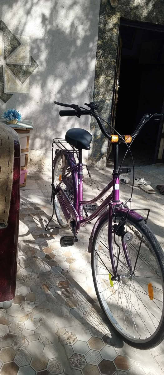 باسكل  بيدي ياباني حجم 26 نضيف بس بي خسفه خفيفه بل صينيه الون نادر السعر 165 فدوه اروحلك لامو شراي لا تعبني العنوان نجف كوفه براكيه شارع المطار القديم النجف, العراق


**إذا كنت صاحب هذا الإعلان وتريد حذفه لأي سبب، رجاءا أرسل رسالة إلى الدعم الفني**