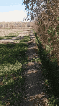 بيت زراعي للبيع مساحه 200 استقبال 9×4
صاله 8×4
مطبخ 5×4.                 مكان نهاية شارع زمن طاهر 
صاله زغيره 4×4
غرفتين 6×4
 الاستفسار اتصل *********** بي واتساب 
 ***********
