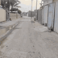 جسر اديالي كرغوليه • ٤٠٠م • طابو زراعي