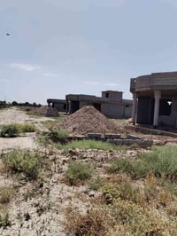 دونم طابو زراعي سند 25 حق التصرف للبيع المحمودية ناحية الرشيد منطقة صخ...