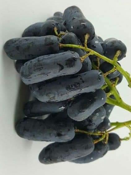 شتل عنب ياقوتي واصبع العاروس متوفر كميه قليله
المكان حاج علي
التواصل ***********
