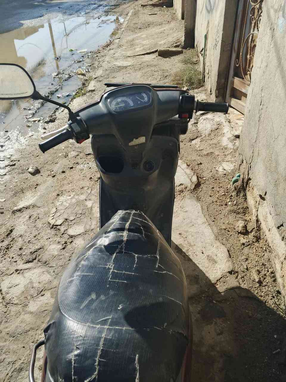 متاح دراجه منغولي للبيع او مراوس بطه تفاصيل خاص مكان سدة الهنديه ***********
